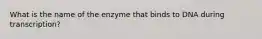 What is the name of the enzyme that binds to DNA during transcription?