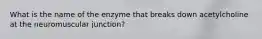 What is the name of the enzyme that breaks down acetylcholine at the neuromuscular junction?