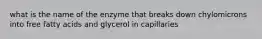 what is the name of the enzyme that breaks down chylomicrons into free fatty acids and glycerol in capillaries