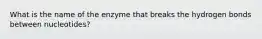 What is the name of the enzyme that breaks the hydrogen bonds between nucleotides?