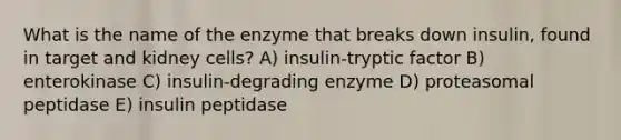 What is the name of the enzyme that breaks down insulin, found in target and kidney cells? A) insulin-tryptic factor B) enterokinase C) insulin-degrading enzyme D) proteasomal peptidase E) insulin peptidase