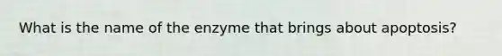 What is the name of the enzyme that brings about apoptosis?