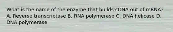 What is the name of the enzyme that builds cDNA out of mRNA? A. Reverse transcriptase B. RNA polymerase C. DNA helicase D. DNA polymerase