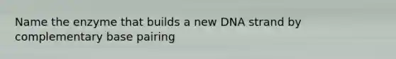 Name the enzyme that builds a new DNA strand by complementary base pairing