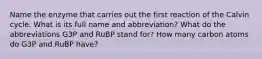 Name the enzyme that carries out the first reaction of the Calvin cycle. What is its full name and abbreviation? What do the abbreviations G3P and RuBP stand for? How many carbon atoms do G3P and RuBP have?
