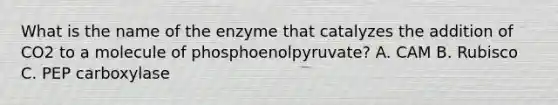 What is the name of the enzyme that catalyzes the addition of CO2 to a molecule of phosphoenolpyruvate? A. CAM B. Rubisco C. PEP carboxylase