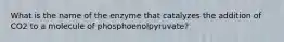 What is the name of the enzyme that catalyzes the addition of CO2 to a molecule of phosphoenolpyruvate?