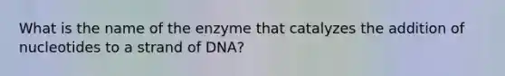 What is the name of the enzyme that catalyzes the addition of nucleotides to a strand of DNA?