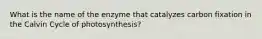 What is the name of the enzyme that catalyzes carbon fixation in the Calvin Cycle of photosynthesis?