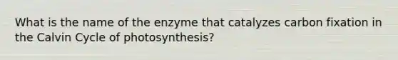 What is the name of the enzyme that catalyzes carbon fixation in the Calvin Cycle of photosynthesis?