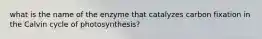 what is the name of the enzyme that catalyzes carbon fixation in the Calvin cycle of photosynthesis?