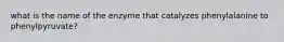 what is the name of the enzyme that catalyzes phenylalanine to phenylpyruvate?