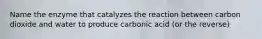 Name the enzyme that catalyzes the reaction between carbon dioxide and water to produce carbonic acid (or the reverse)