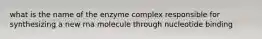 what is the name of the enzyme complex responsible for synthesizing a new rna molecule through nucleotide binding