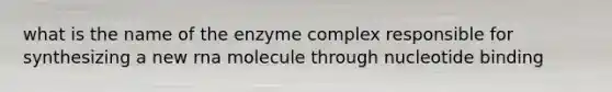 what is the name of the enzyme complex responsible for synthesizing a new rna molecule through nucleotide binding