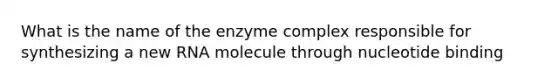 What is the name of the enzyme complex responsible for synthesizing a new RNA molecule through nucleotide binding