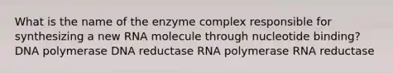 What is the name of the enzyme complex responsible for synthesizing a new RNA molecule through nucleotide binding? DNA polymerase DNA reductase RNA polymerase RNA reductase