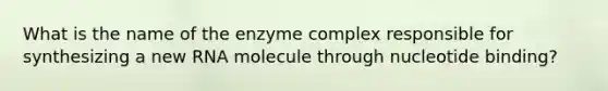 What is the name of the enzyme complex responsible for synthesizing a new RNA molecule through nucleotide binding?