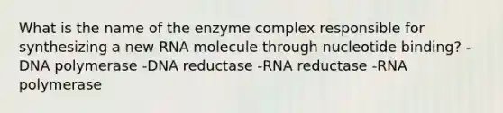 What is the name of the enzyme complex responsible for synthesizing a new RNA molecule through nucleotide binding? -DNA polymerase -DNA reductase -RNA reductase -RNA polymerase