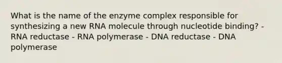 What is the name of the enzyme complex responsible for synthesizing a new RNA molecule through nucleotide binding? - RNA reductase - RNA polymerase - DNA reductase - DNA polymerase