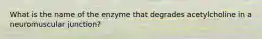 What is the name of the enzyme that degrades acetylcholine in a neuromuscular junction?