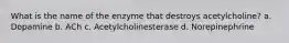 What is the name of the enzyme that destroys acetylcholine? a. Dopamine b. ACh c. Acetylcholinesterase d. Norepinephrine