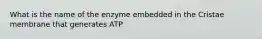 What is the name of the enzyme embedded in the Cristae membrane that generates ATP