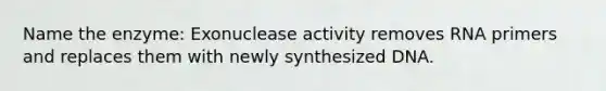 Name the enzyme: Exonuclease activity removes RNA primers and replaces them with newly synthesized DNA.