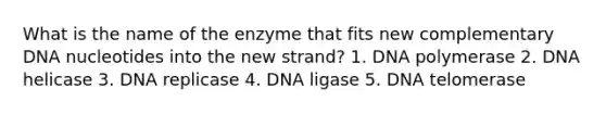 What is the name of the enzyme that fits new complementary DNA nucleotides into the new strand? 1. DNA polymerase 2. DNA helicase 3. DNA replicase 4. DNA ligase 5. DNA telomerase