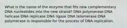 What is the name of the enzyme that fits new complementary DNA nucleotides into the new strand? DNA polymerase DNA helicase DNA replicase DNA ligase DNA telomerase DNA polymerase is responsible for the process of DNA replication.