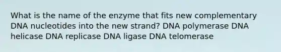 What is the name of the enzyme that fits new complementary DNA nucleotides into the new strand? DNA polymerase DNA helicase DNA replicase DNA ligase DNA telomerase