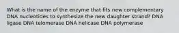 What is the name of the enzyme that fits new complementary DNA nucleotides to synthesize the new daughter strand? DNA ligase DNA telomerase DNA helicase DNA polymerase