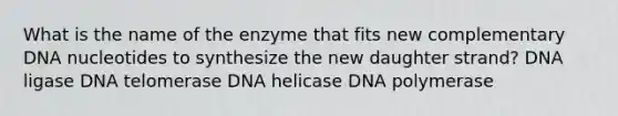 What is the name of the enzyme that fits new complementary DNA nucleotides to synthesize the new daughter strand? DNA ligase DNA telomerase DNA helicase DNA polymerase