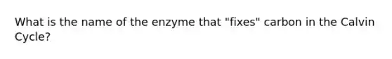 What is the name of the enzyme that "fixes" carbon in the Calvin Cycle?