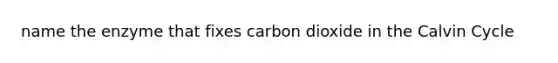 name the enzyme that fixes carbon dioxide in the Calvin Cycle