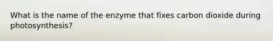 What is the name of the enzyme that fixes carbon dioxide during photosynthesis?