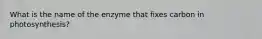 What is the name of the enzyme that fixes carbon in photosynthesis?