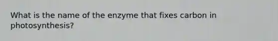 What is the name of the enzyme that fixes carbon in photosynthesis?