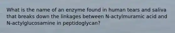 What is the name of an enzyme found in human tears and saliva that breaks down the linkages between N-actylmuramic acid and N-actylglucosamine in peptidoglycan?