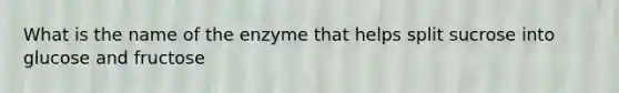 What is the name of the enzyme that helps split sucrose into glucose and fructose