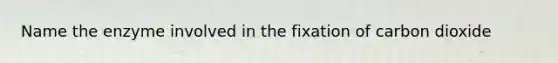 Name the enzyme involved in the fixation of carbon dioxide