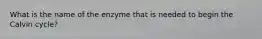 What is the name of the enzyme that is needed to begin the Calvin cycle?