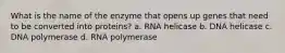 What is the name of the enzyme that opens up genes that need to be converted into proteins? a. RNA helicase b. DNA helicase c. DNA polymerase d. RNA polymerase