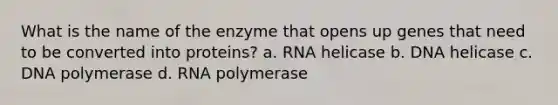 What is the name of the enzyme that opens up genes that need to be converted into proteins? a. RNA helicase b. DNA helicase c. DNA polymerase d. RNA polymerase