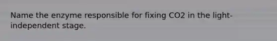Name the enzyme responsible for fixing CO2 in the light-independent stage.