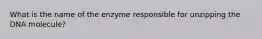 What is the name of the enzyme responsible for unzipping the DNA molecule?