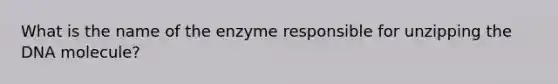 What is the name of the enzyme responsible for unzipping the DNA molecule?