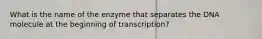 What is the name of the enzyme that separates the DNA molecule at the beginning of transcription?