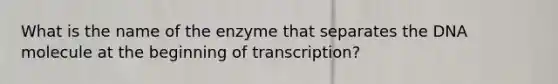 What is the name of the enzyme that separates the DNA molecule at the beginning of transcription?