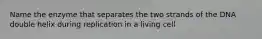 Name the enzyme that separates the two strands of the DNA double helix during replication in a living cell